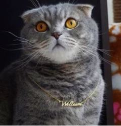 Why give a personalized gift? My Little Necklace Explains it All
